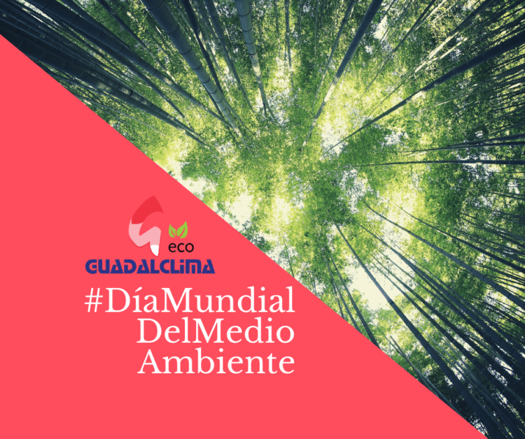 dia_mundial_medio_ambiente