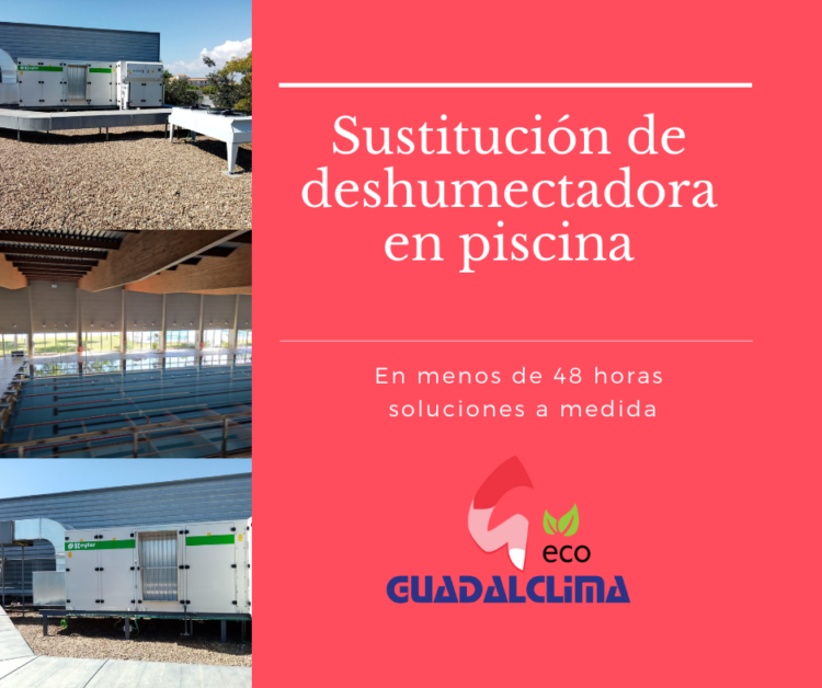 guadalclima_piscina