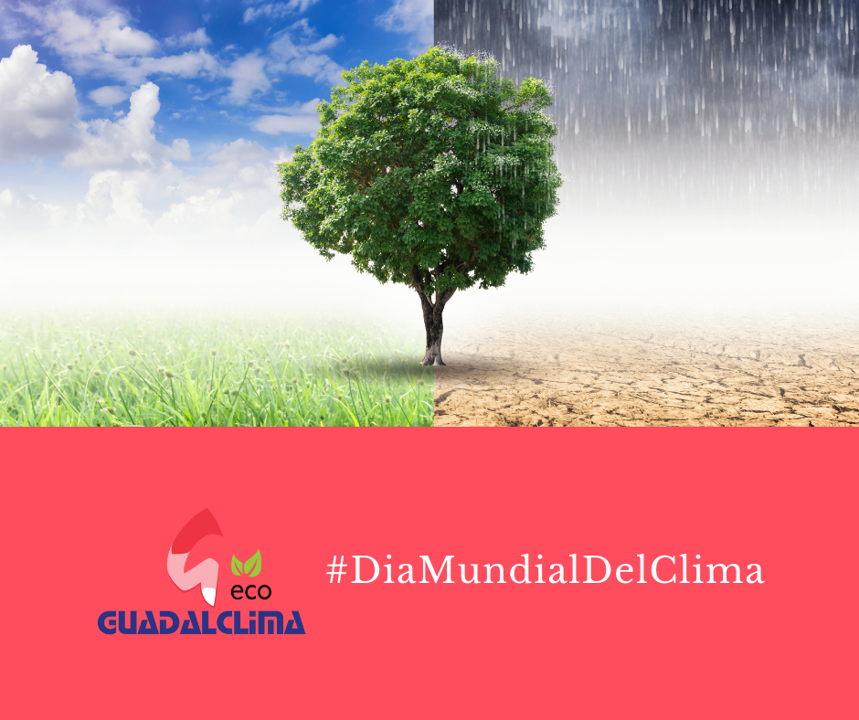 guadalclima_dia_del_clima