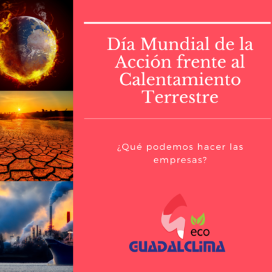 guadalclima (13)